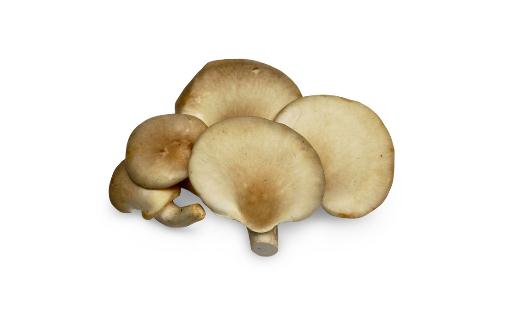 吃鮑魚菇有什么好處?鮑魚菇的做法