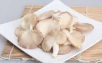 吃鳳尾菇好嗎？鳳尾菇怎么做好吃？