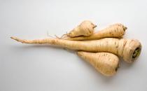 歐防風是什么？歐防風的吃法