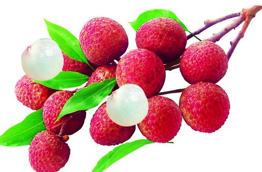 男人保持私處健康15常識