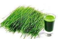 麥苗能抗癌和治療疾病嗎？