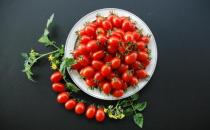 圣女果是不是轉(zhuǎn)基因蔬菜？