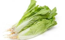 小白菜怎么做？小白菜的簡介