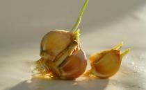 這些發芽的食物也可以吃