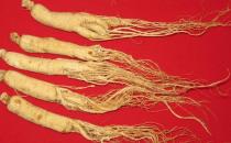 開車前不宜吃哪些藥物？