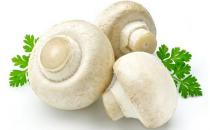 揭秘飲食的5個謠言：脂肪有害健康？