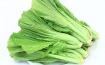 葉用芥菜是什么？葉用芥菜怎么做？