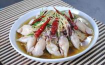 海兔的營養價值 海兔的做法