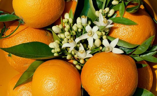 水果雖好 多食有什么危害？