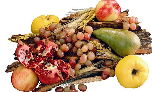 秋季最強水果:VC之王刺梨