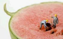 嫁接的西瓜不能吃嗎？