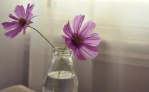 七夕將至 什么時候最適合表白？