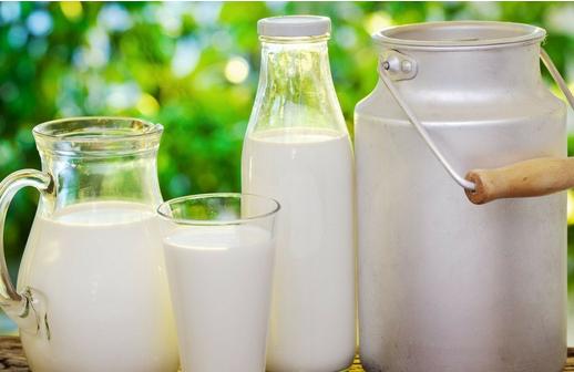 營養(yǎng)母體應該多喝牛奶