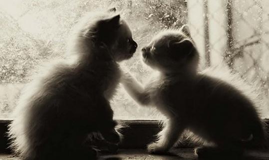 肩并肩的溝通有時(shí)會(huì)更好