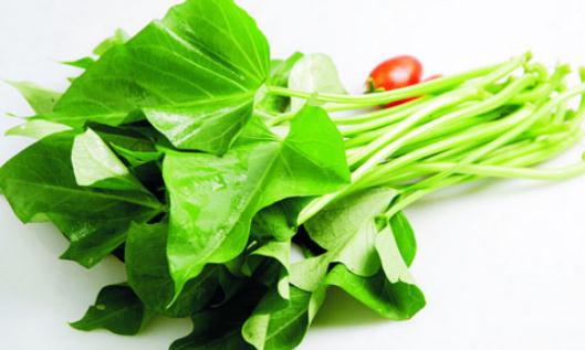 被扔掉的紅薯葉其實是營養(yǎng)全能王