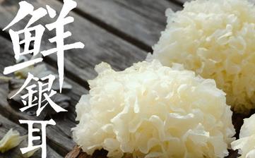 【銀耳】_銀耳的營(yíng)養(yǎng)價(jià)值,銀耳的功效,銀耳怎么做,銀耳的做法大全 【銀耳】_銀耳的營(yíng)養(yǎng)價(jià)值,銀耳的功效,銀耳怎么做,銀耳的做法大全