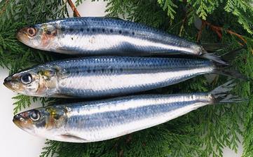 【青魚】_青魚的營養(yǎng)價值,青魚怎么做好吃,青魚的做法大全 【青魚】_青魚的營養(yǎng)價值,青魚怎么做好吃,青魚的做法大全