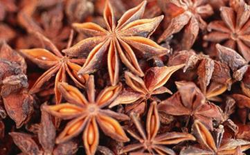 【八角】_八角的功效與作用,八角怎么用,八角的食用方法,八角是什么 【八角】_八角的功效與作用,八角怎么用,八角的食用方法,八角是什么