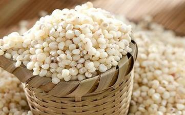 【高粱米】_營(yíng)養(yǎng)價(jià)值,功效與作用,怎么吃,做法,適用人群,食用禁忌 【高粱米】_營(yíng)養(yǎng)價(jià)值,功效與作用,怎么吃,做法,適用人群,食用禁忌