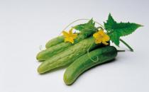 黃瓜不能和什么食物搭配吃？
