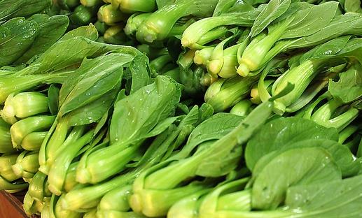 小白菜、大白菜、娃娃菜哪個最有營養?