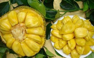 【菠蘿蜜】_菠蘿蜜的功效與作用,菠蘿蜜上火嗎,菠蘿蜜怎么吃 【菠蘿蜜】_菠蘿蜜的功效與作用,菠蘿蜜上火嗎,菠蘿蜜怎么吃