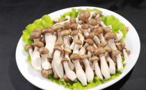 鮮味會讓人胃口更好嗎？