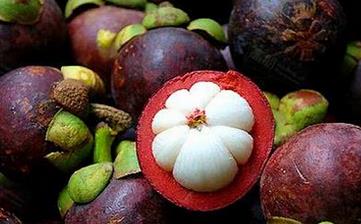 【山竹】_山竹的功效與作用,山竹上火嗎,山竹怎么吃,山竹怎么剝 【山竹】_山竹的功效與作用,山竹上火嗎,山竹怎么吃,山竹怎么剝