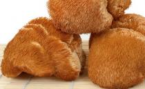 咸鮮味美的猴蘑牛頭方怎么做？