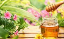 教你5招辨別優質蜂蜜