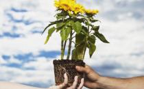 鄰里關(guān)系好會給我們帶來哪些好處？