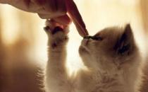 教你如何養成不抱怨的好習慣