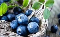 人體不同部位的最佳抗衰老食物