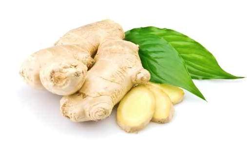 沒有食欲?生姜來幫你