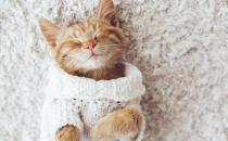 如何解決拖延癥？