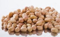 秋季養生多吃這些堅果