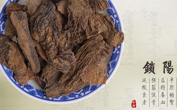 【鎖陽】中藥材鎖陽的功效與作用_鎖陽能壯陽嗎_鎖陽的藥用價值 【鎖陽】中藥材鎖陽的功效與作用_鎖陽能壯陽嗎_鎖陽的藥用價值