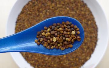 【菟絲子】中藥材菟絲子的功效與作用_菟絲子的藥用價值和用法 【菟絲子】中藥材菟絲子的功效與作用_菟絲子的藥用價值和用法