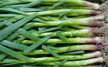 【蒜苗】蒜苗的營養價值_蒜苗怎么做好吃_蒜苗的做法大全_孕婦能吃蒜苗嗎