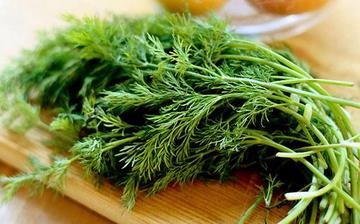 【茴香】茴香的營養價值_茴香怎么做好吃_茴香的做法大全_孕婦能吃茴香嗎