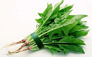 【菠菜】菠菜的營養價值_菠菜不能和什么一起吃_菠菜的做法大全