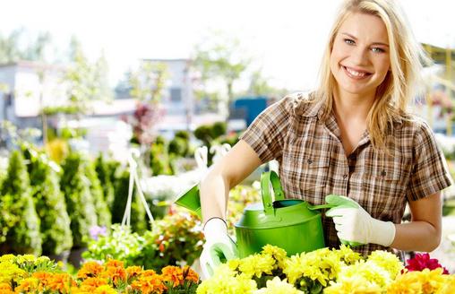 六月份適合種植哪些花?