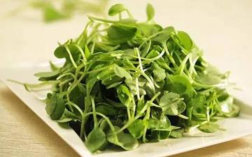 【豌豆苗】豌豆苗的營養價值_豌豆苗怎么做好吃_豌豆苗的做法大全 【豌豆苗】豌豆苗的營養價值_豌豆苗怎么做好吃_豌豆苗的做法大全