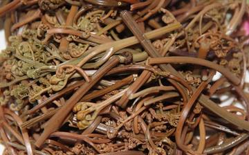 【干蕨菜】干蕨菜的營養價值_干蕨菜怎么做好吃_干蕨菜的做法大全 【干蕨菜】干蕨菜的營養價值_干蕨菜怎么做好吃_干蕨菜的做法大全