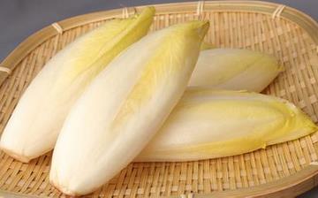 【菊苣】菊苣的營養(yǎng)價值_菊苣怎么做好吃_菊苣的做法大全 【菊苣】菊苣的營養(yǎng)價值_菊苣怎么做好吃_菊苣的做法大全