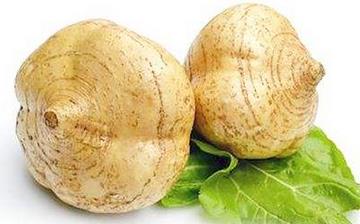 【沙葛】沙葛的功效與作用營養價值_沙葛怎么做好吃_沙葛的做法大全 【沙葛】沙葛的功效與作用營養價值_沙葛怎么做好吃_沙葛的做法大全