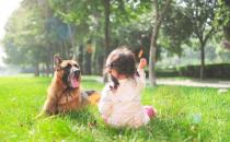 寶寶暈車咋辦？寶寶能吃暈車藥嗎？