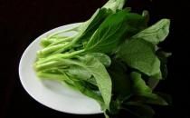 盤點能夠清熱祛濕的食物