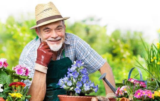 老人如何通過飲食來延緩衰老?