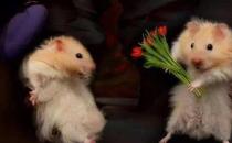 教你如何從約會看出對方的內心